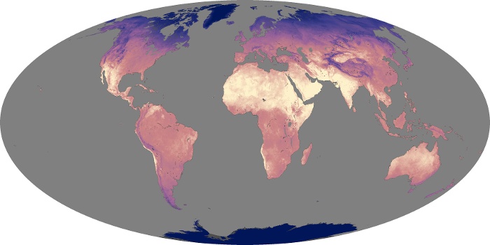 Global Map Land Surface Temperature Image 207