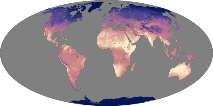 Global Map Land Surface Temperature Image 230