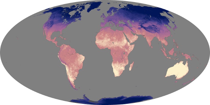 Global Map Land Surface Temperature Image 239