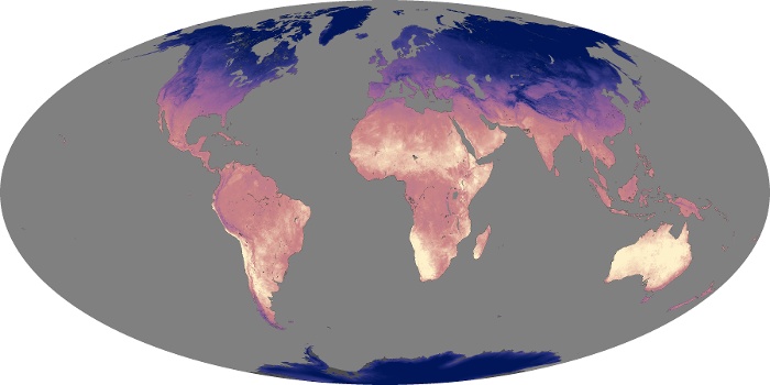 Global Map Land Surface Temperature Image 251