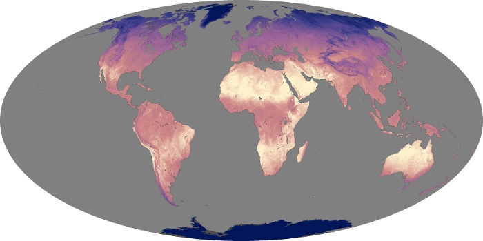 Global Map Land Surface Temperature Image 261