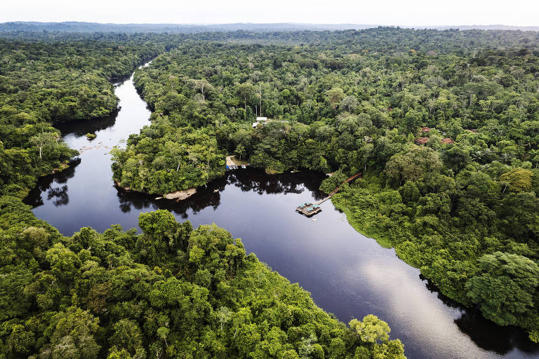 Tocantins vai oferecer R$ 2,5 bilhões em créditos de carbono