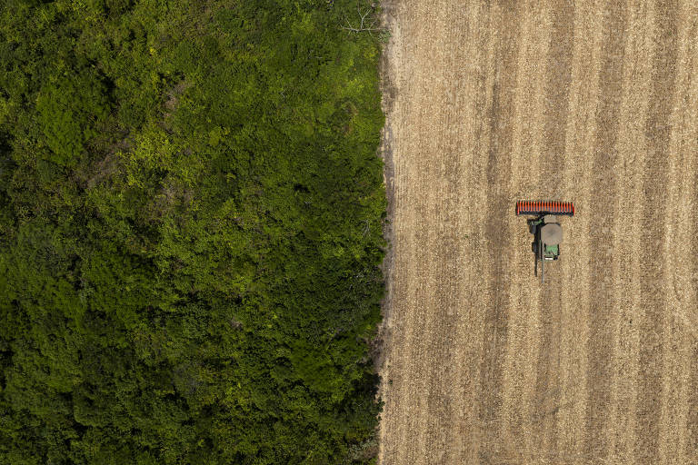 Câmara aprova projeto de lei que cria mercado de carbono e texto vai a sanção