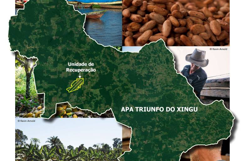 Por que investir na Amazônia