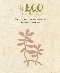 Нож для вырубки EcoPaper "Суккулент", размер 54*78 мм