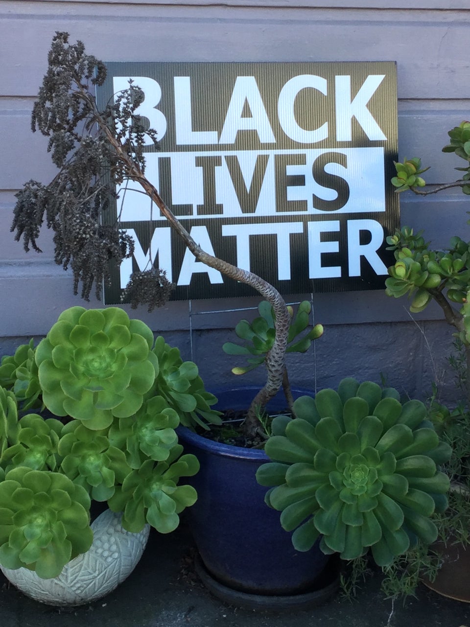 BLACK LIVES MATTER sign standing outside against the side of a house, behind a few potted plants, mostly succulents.