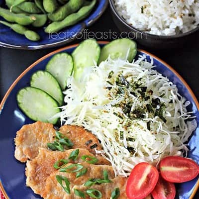 Pork Shogayaki and Donburi