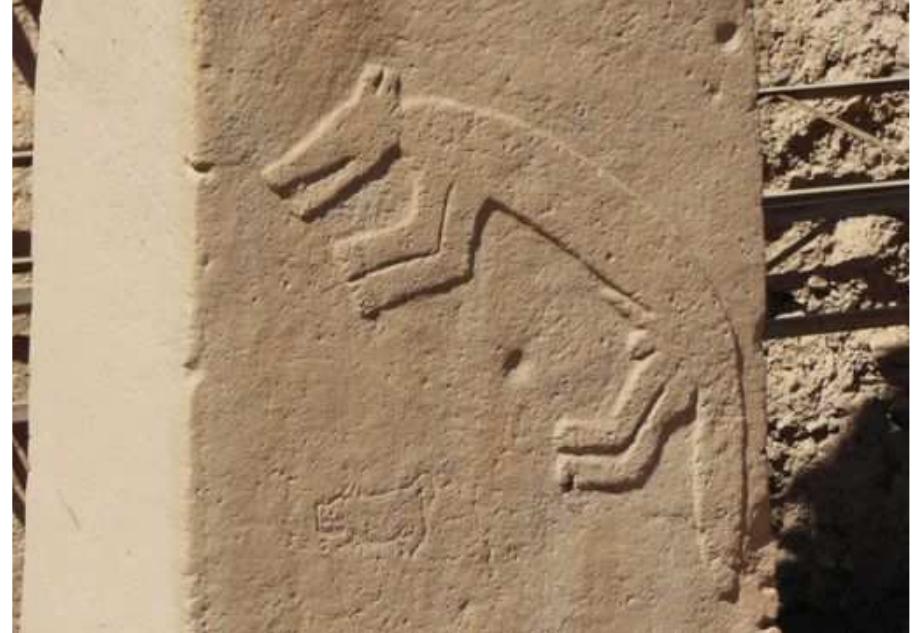 Fig. 10. Leaping fox bas-relief on the inner face of Enclosure B’s Pillar 10 (Pic credit: Andrew Collins).  So why the fox? Why was this animal so important at Gdbekli Tepe?  (Vulpes vulpes) found at Godbekli Tepe led archaeozoologist Joris Peters, writing with Klaus Schmidt, to conclude that the interest in this creature went beyond any domestic usage and must be connected with the “exploitation of its pelt and/or the utilization of fox teeth for ornamental purposes.” That this statement was made before the discovery of the fox-pelt loincloths carved on the front narrow faces of Enclosure D’s central pillars means that what Peters and Schmidt go on to say in the same paper should not be ignored, for in their opinion this evidence suggests “a specific worship of foxes may be reflected here.”  ee Sear aee  Cosmic Trickster 