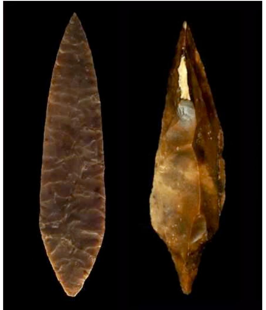 Fig. 17. On the left a Solutrean lance head around 20,000 years old, and on the right a Swiderian point fashioned from chocolate flint, around 11,000 years  old. Not to scale. (Pic credits: J. L. Katzman/Aggsbacl Paleolithic Blog).  Eastern Gravettians, who thrived in highly advanced settlements in both Central Europe and on the Russian Plain between 30,000 and 20,000 BC. They built communal buildings, experimented with cereal farming as much as 30,000 years ago; introduced the Mother Goddess cult, expressed in the production of full-bodied Venus figurines; wore tailored clothes, sewn together using bone needles, and revered both the wolf and arctic fox, which would seem to have been associated with the soul’s journey into the afterlife.  clothes, sewn together using bone needles,  Neanderthal Hybrids 