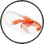 Lobster.png