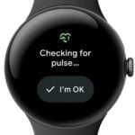 Pixel Watch Pulse Detection Feature