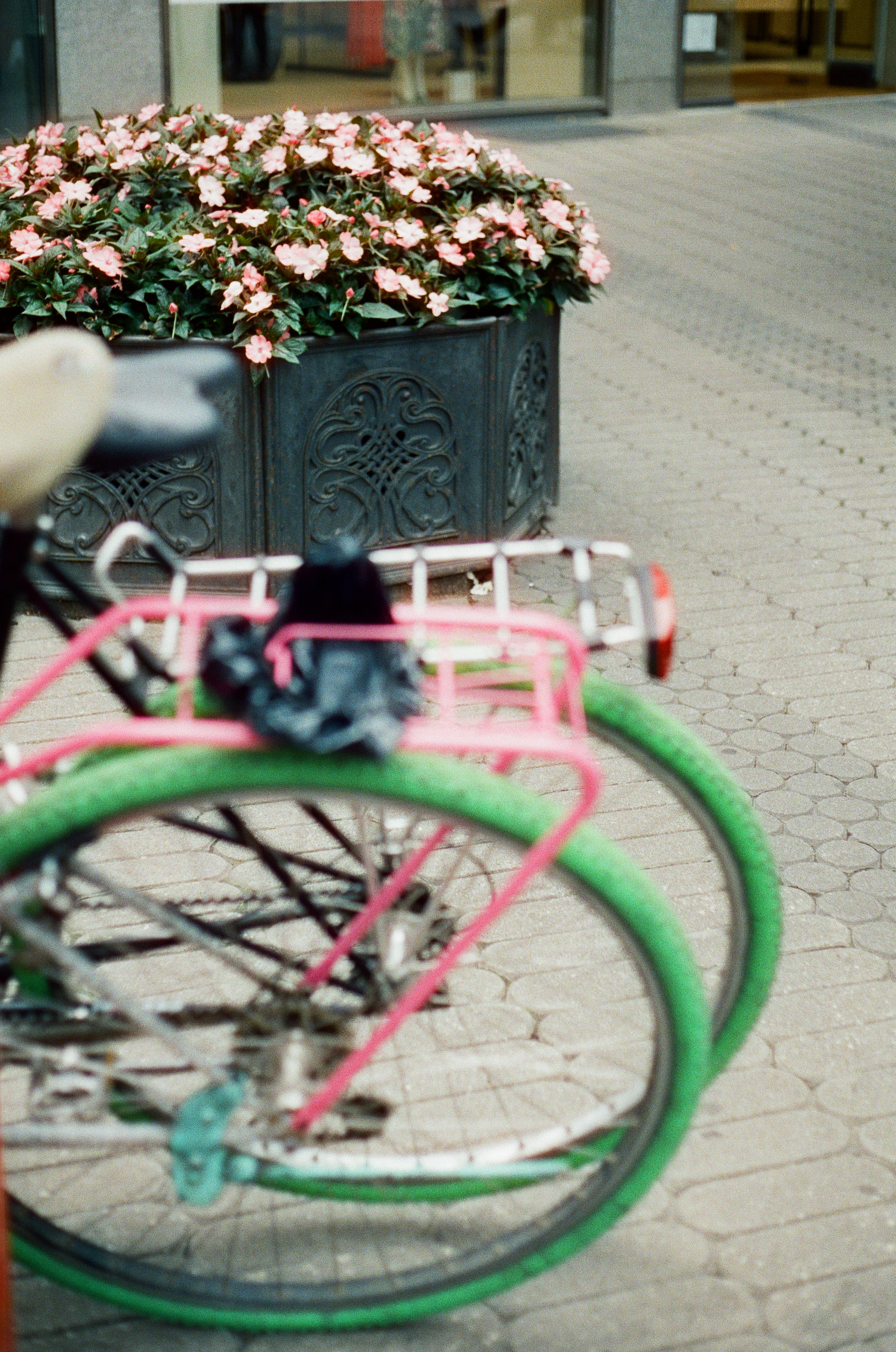 Grüne Fahrradreifen vor einem Blumenbeet