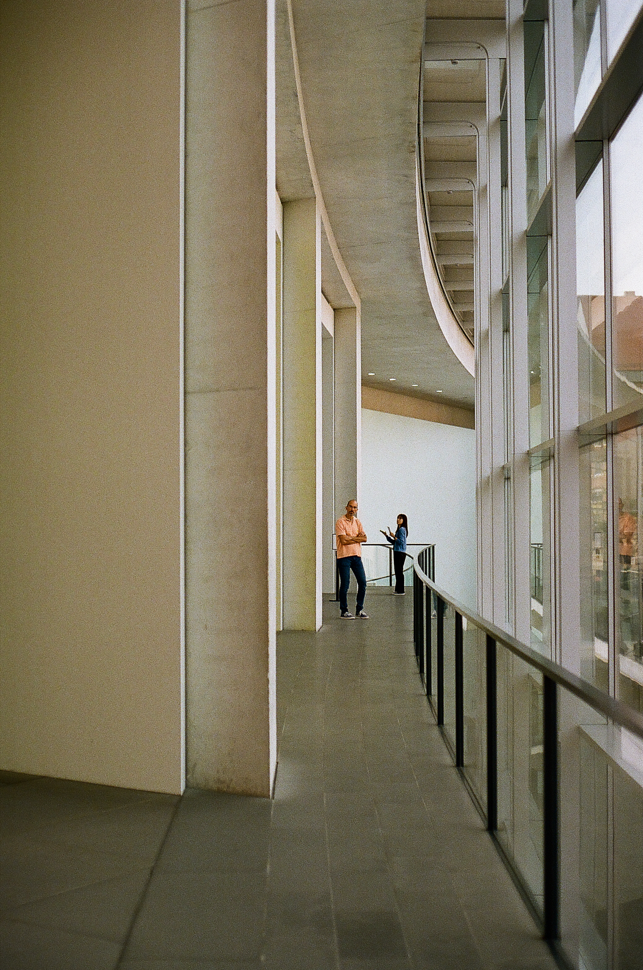 Neues Museum Ausstellung