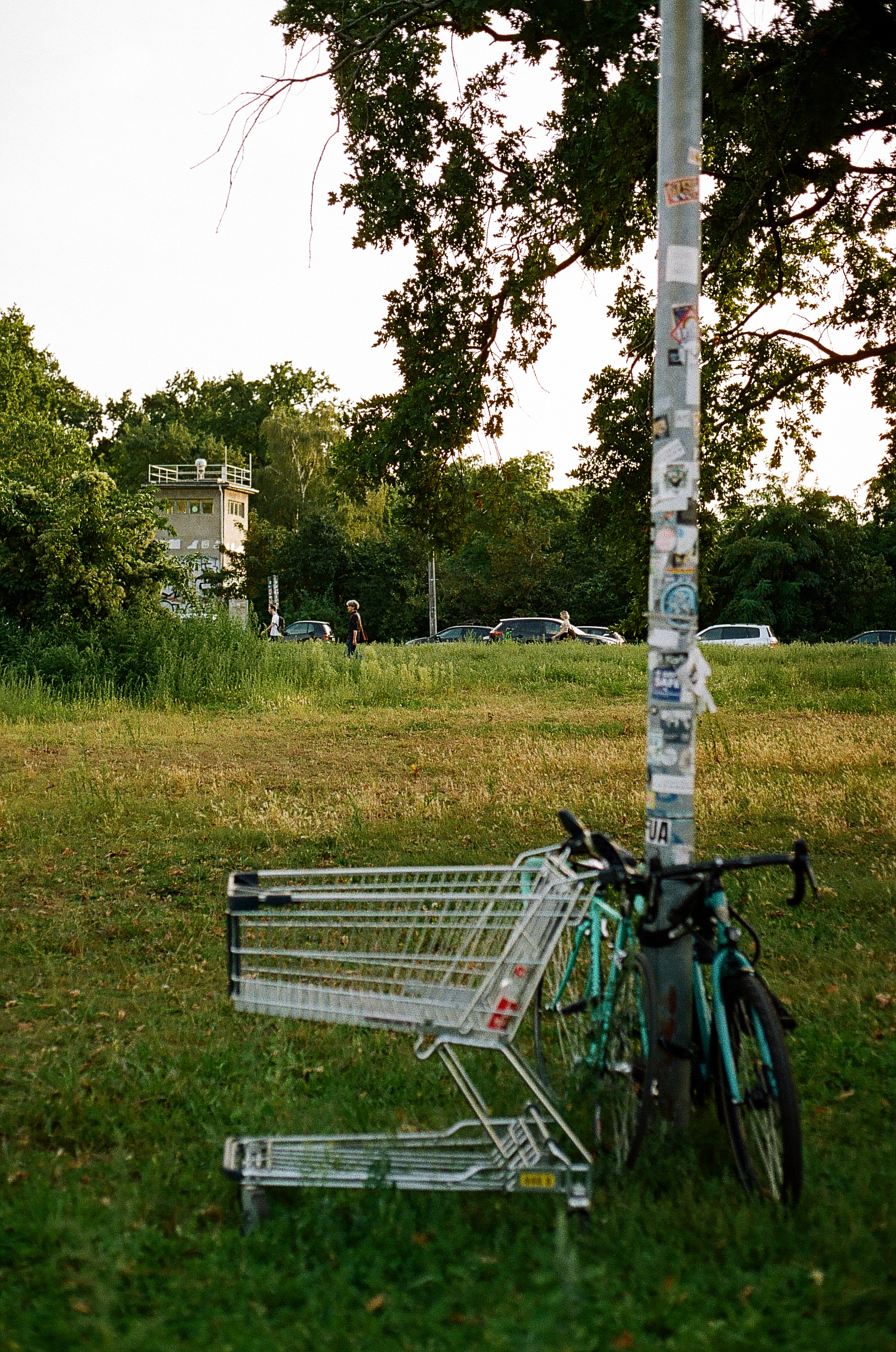 Einkaufswagen und Fahrrad auf Wiese