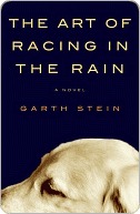 The Art of Racing in the Rain by Garth Stein