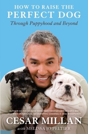 How to Raise the Perfect Dog by Cesar Millan