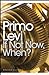 If Not Now, When? by Primo Levi