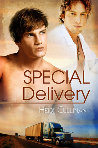 Special Delivery by Heidi Cullinan