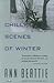 Chilly Scenes of Winter by Ann Beattie