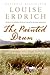 The Painted Drum by Louise Erdrich