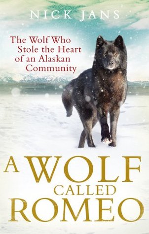 A Wolf Called Romeo by Nick Jans