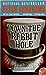 Down the Rabbit Hole by Peter Abrahams