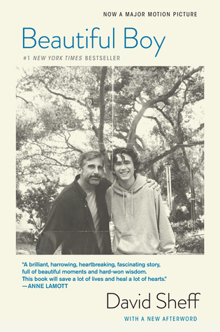 Beautiful Boy by David Sheff