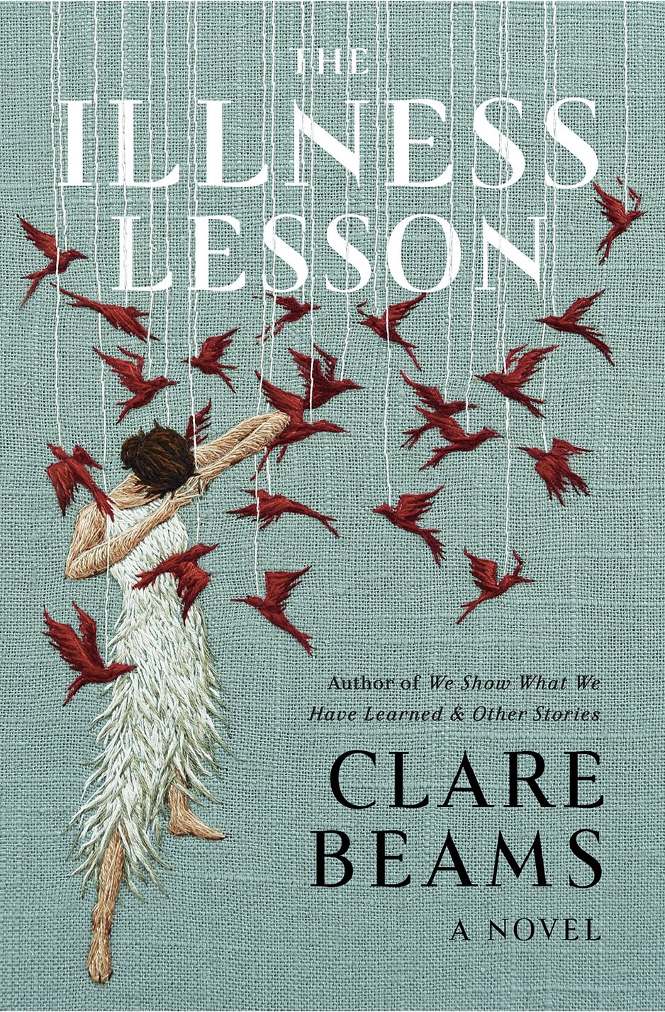 The Illness Lesson by Clare Beams