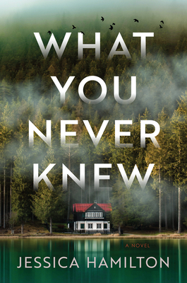 What You Never Knew by Jessica       Hamilton