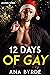 12 Days of Gay (#Love Wins #5)