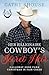 Her Billionaire Cowboy's Secret Heir (Christmas in Fair Creek, #4)