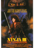 Ninja III: The Domination