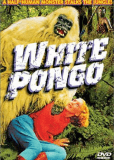 White Pongo