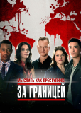 Мыслить как преступник: За границей (сериал)