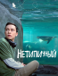 Нетипичный (сериал)