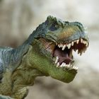 Dinosaur Science News