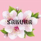 Sakura🌸 kokoro💜Neko😸