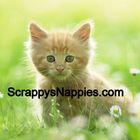 Scrappy's Nappies