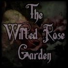 Wilted Rose