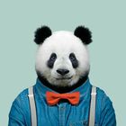 Pandita China