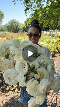 Gracielinda Poulson on Instagram: "If you ask me what my favorite cream rose for cut flowers is, I would undoubtably say Classic Woman. Flower farmers and aspiring farmers take note! This is a fabulous cut rose. Not only does she grow tall and produces long, straight stems, she’s undeniably beautiful. For all those people who want peonies out of season, who needs peonies when there’s Classic Woman!? (She also doesn’t take three years to establish.) Classic Woman is fluffy, huge, smells fantastic and is utterly romantic. She blooms all season long for 3-6 flushes depending on your growing season’s length. I adore this rose and I urge you to grow her if you want roses to bring inside to enjoy. Here’s what you need to know about Classic Woman…

🤍 Classic Woman is the sister to Yves Piaget, o