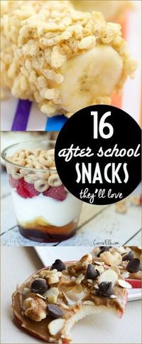 16 After School Snacks. Healthy after school snacks to fill hungry tummy's. Simple and healthy snack ideas for kids and adults. Lunch ideas for on the go.