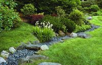 These landscape solutions prevent puddling and flooding-and manage to look good, too. Find inspiration to improve your yard's water drainage today!