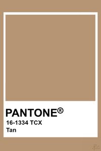 Pantone Tan