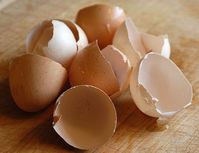 Put lightly broken egg shells (roughly half pieces) in the bottom of plant pots instead of rocks for drainage. The egg shells are lighter than rocks and allow for more air flow in the soil. They will also break down slowly and give your plant nutrients over time.