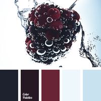 black, blackberry, Blue Color Palettes, color of blackberries, color solution for design, dark-blue, gray-black, light blue, pale blue, selection of color, shades of black, shades of blueberry.