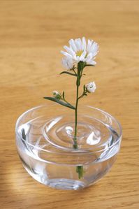 Don’t want to have that old same type of transparent fiber vase? The Japanese company oodesign has exclusively designed a chic vase to add a natural appeal to your living space. Entirely crafted using fiberglass, the vase in the shape of ripples is an ideal pick to bring greenery indoors. The floating vase blends perfectly with the water and looks like a ripple on the surface of the water.

