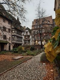 #strasbourg #france #christmas #christmasmarket #oldcity