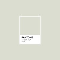 Explore ALL 2,625 Pantone Colors Instantly in FREE Gallery! · PANTONE 12-5201 TCX Icicle Color · #Pantone #Color #ColorShade #Fashion · @pantonecolor · Kid’s Pattern