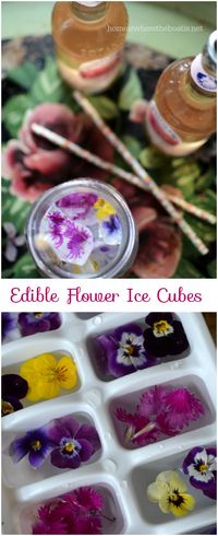 Harvest your violas, pansies or edible flowers to make floral ice cubes for a garden party beverage or a festive way to serve lemonade! #edibleflowers